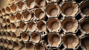 egg trays used on walls for soundproofing
