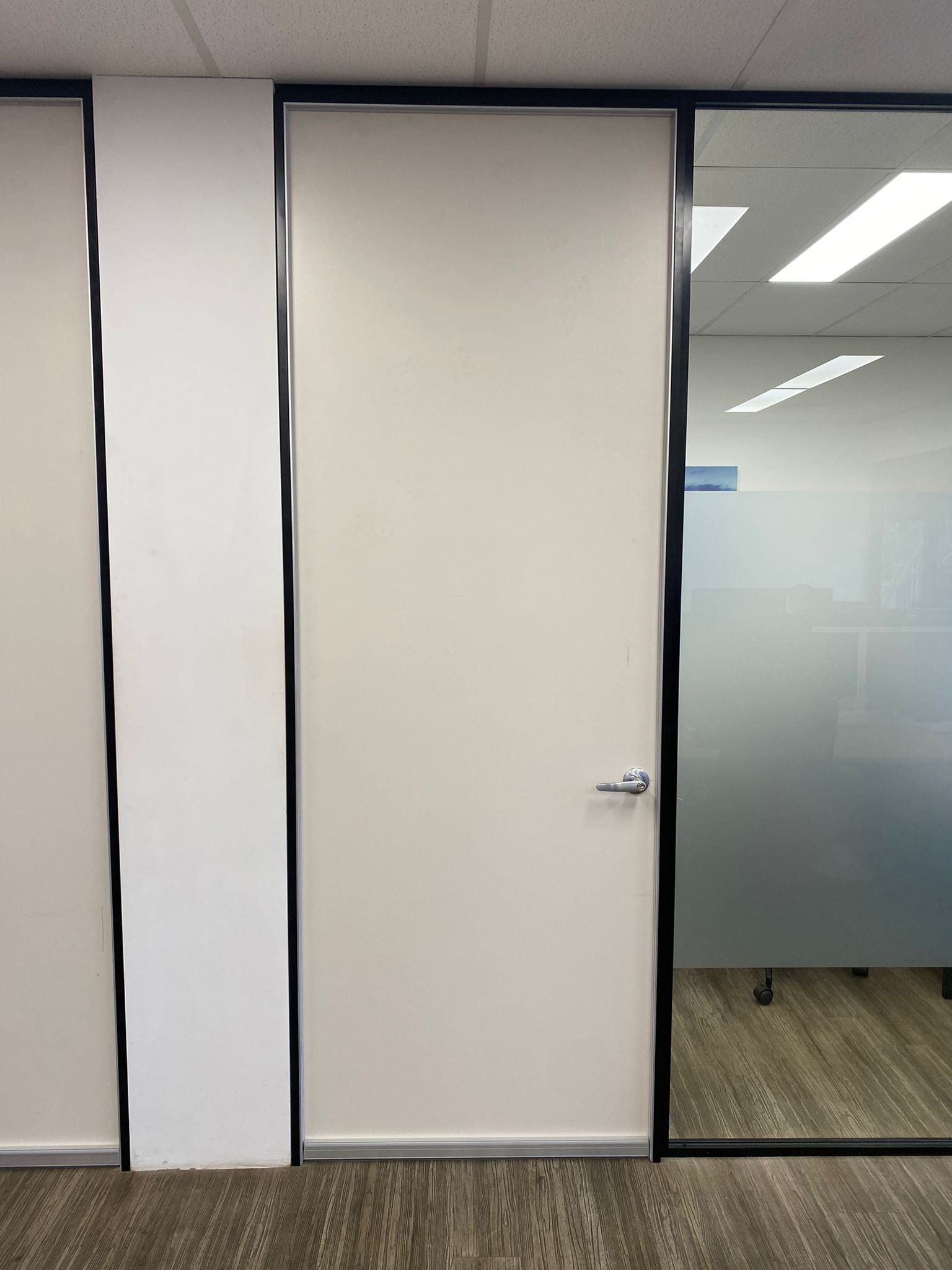 Speech-privacy door — consulting rooms